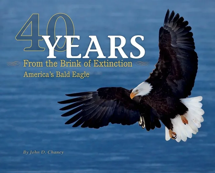 40 Years from the Brink of Extinction: America’s Bald Eagle