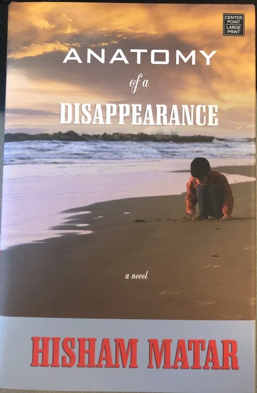 Anatomy of a Disappearance: Large Print