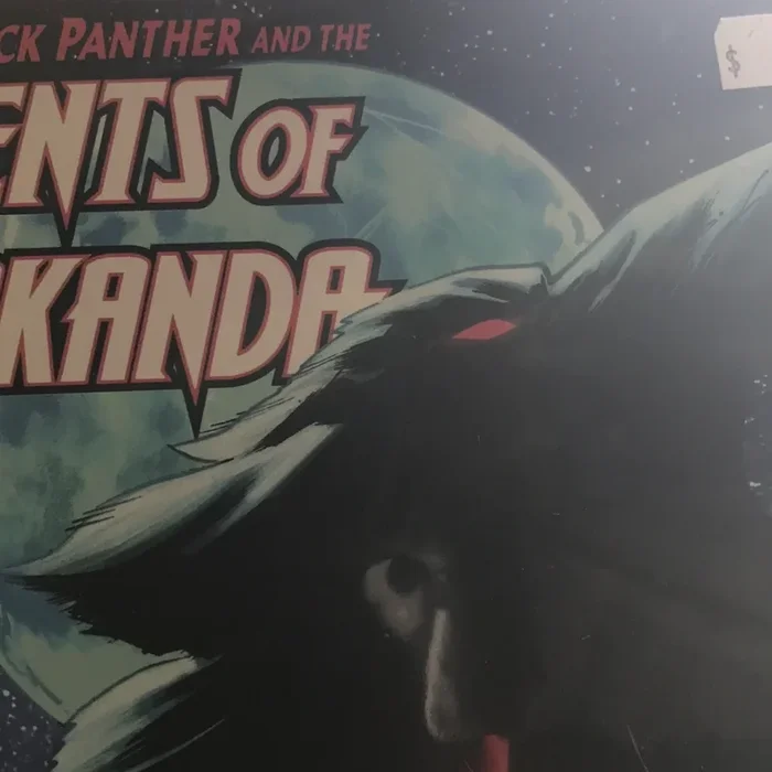 Black Panther and the Agents of Wakanda (2019 Marvel) #4A