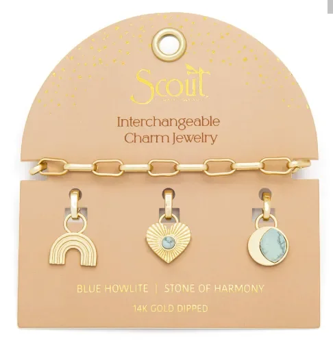 Bracelet-Interchangable Charm