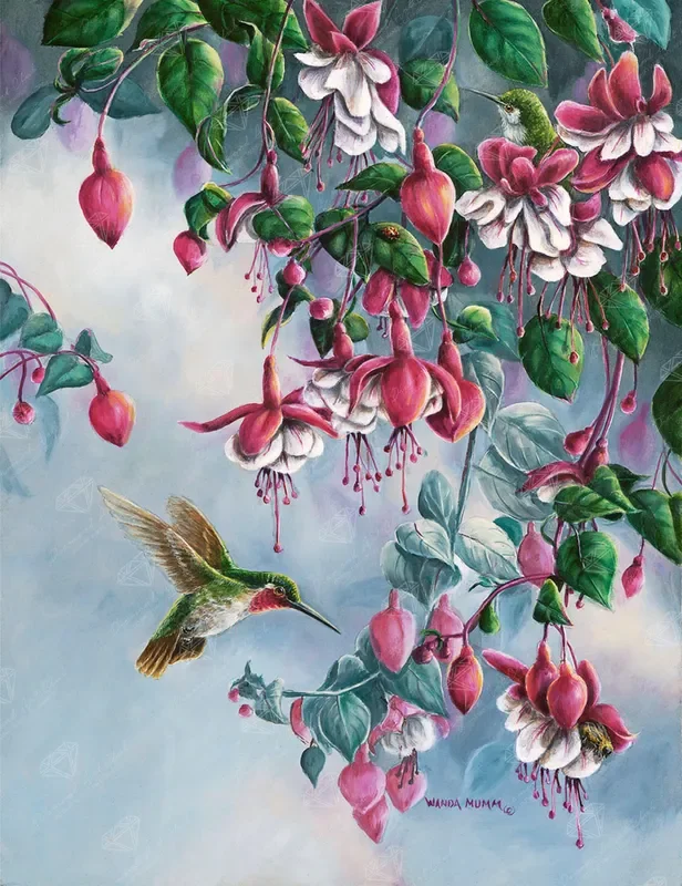 Broadtail and Fuchsia