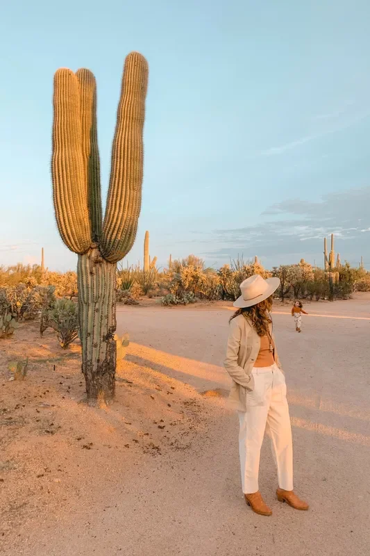 Butter Arlo Trousers