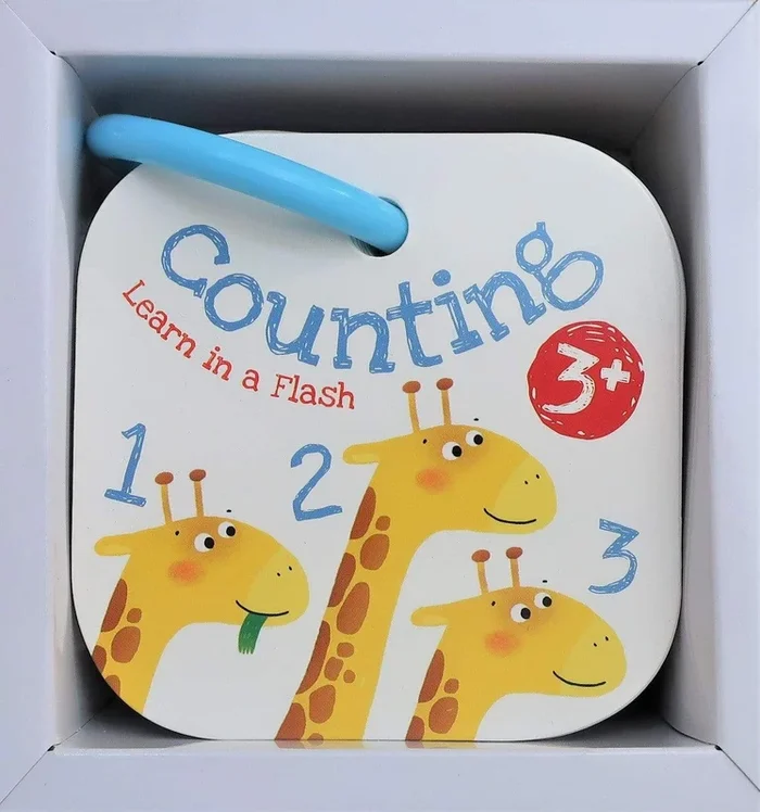 Counting: Learn in a Flash