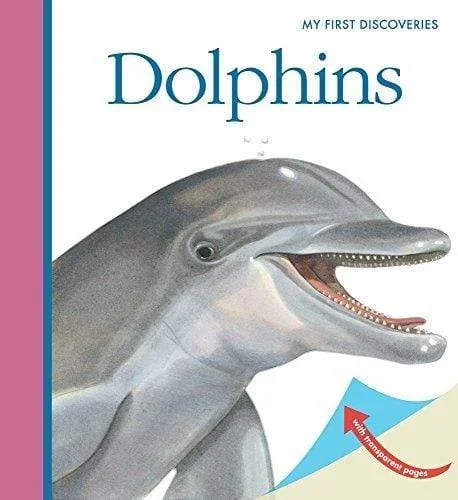Dolphins (My First Discoveries)