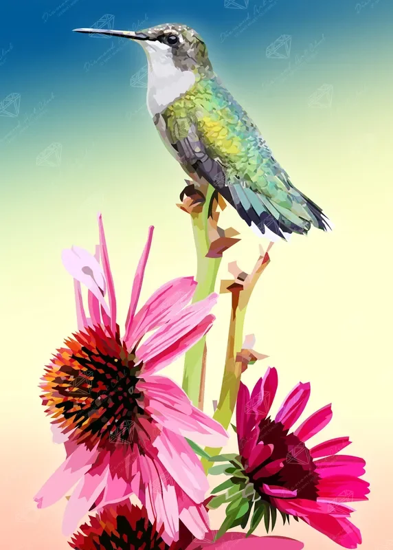 Humming Bird on a Flower