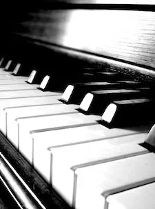 Killing Me Softly With His Song