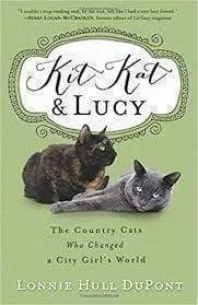 Kit Kat and Lucy: The Country Cats Who Changed a City Girl’s World