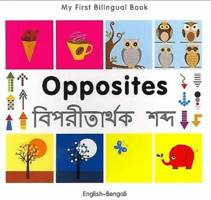 My First Bilingual Book: Opposites (English–Bengali)