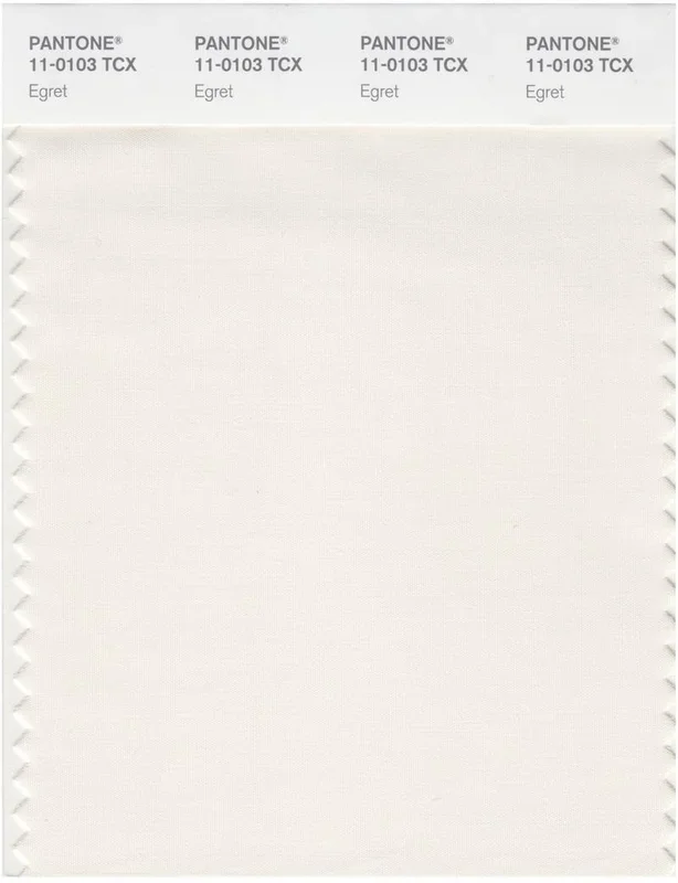 Pantone Smart 11-0103 TCX Color Swatch Card | Egret