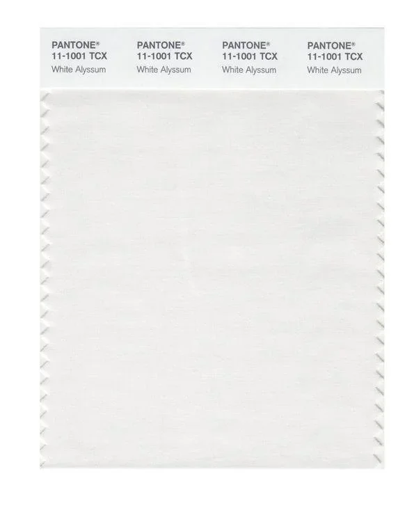 Pantone Smart 11-1001 TCX Color Swatch Card | White Alyssum