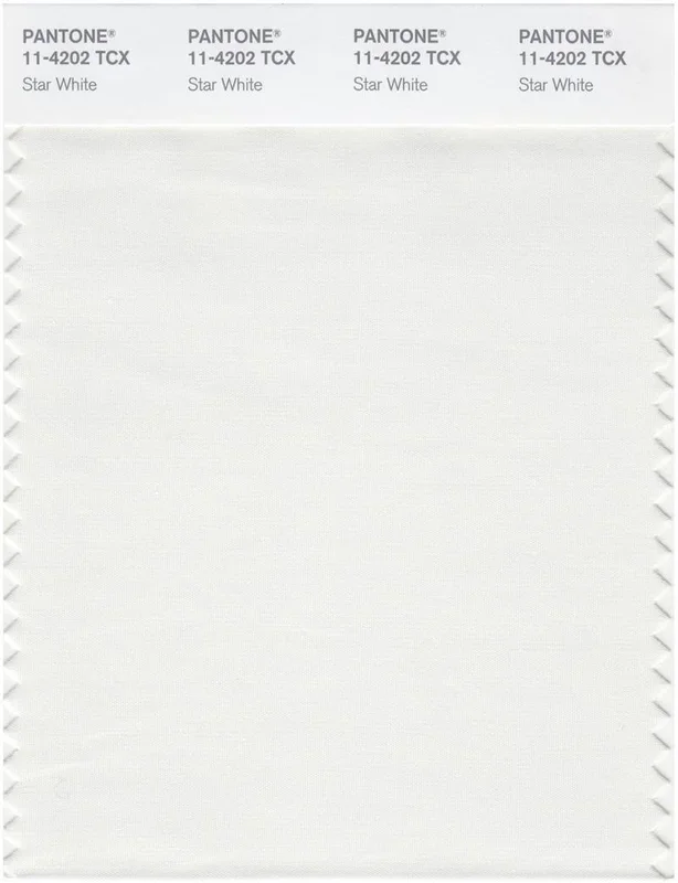 Pantone Smart 11-4202 TCX Color Swatch Card | Star White