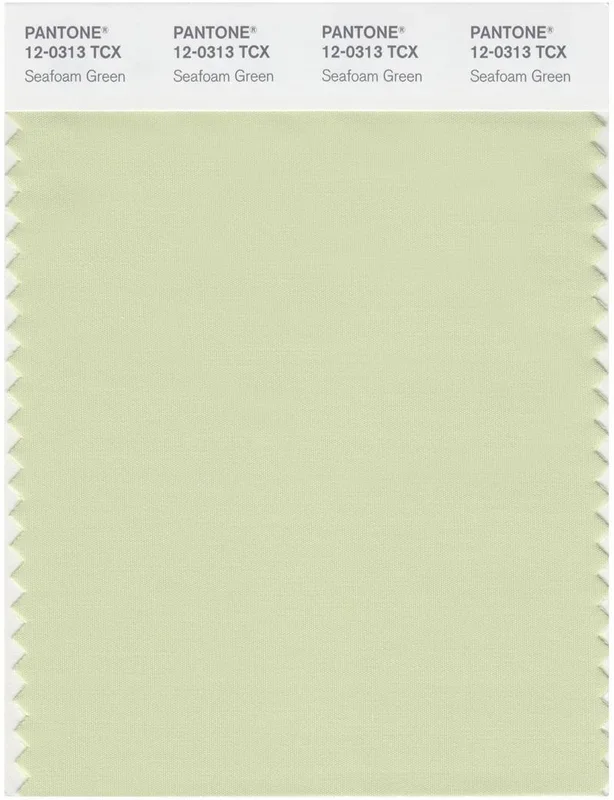 Pantone Smart 12-0313 TCX Color Swatch Card | Seafoam Green