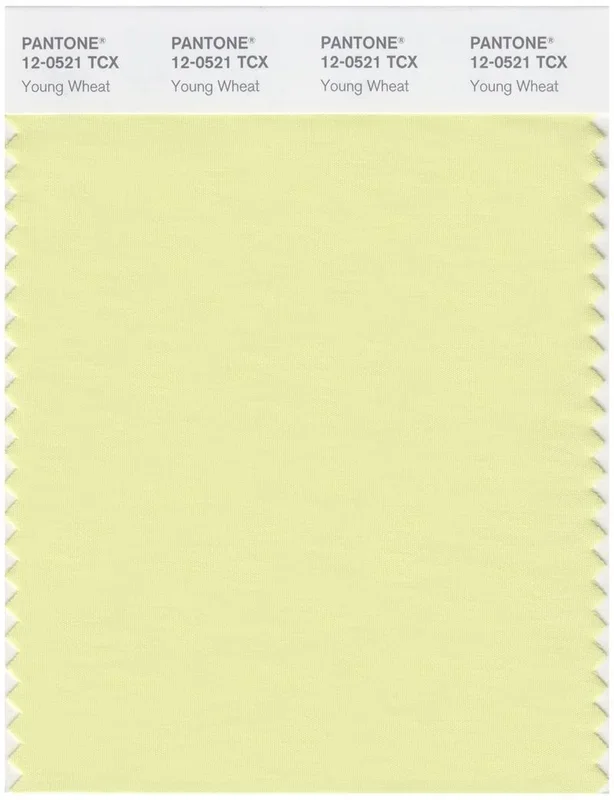 Pantone Smart 12-0521 TCX Color Swatch Card | Young Wheat