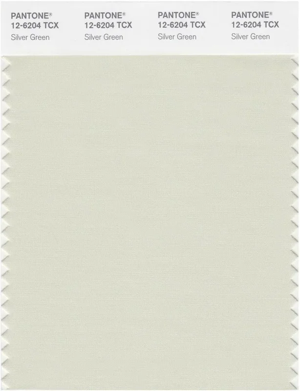 Pantone Smart 12-6204 TCX Color Swatch Card | Silver Green