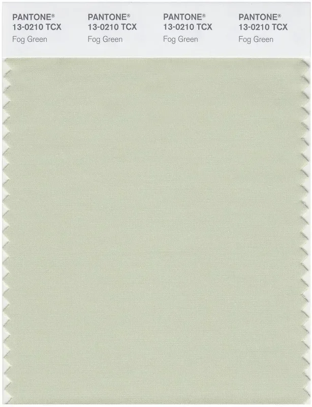 Pantone Smart 13-0210 TCX Color Swatch Card | Fog Green