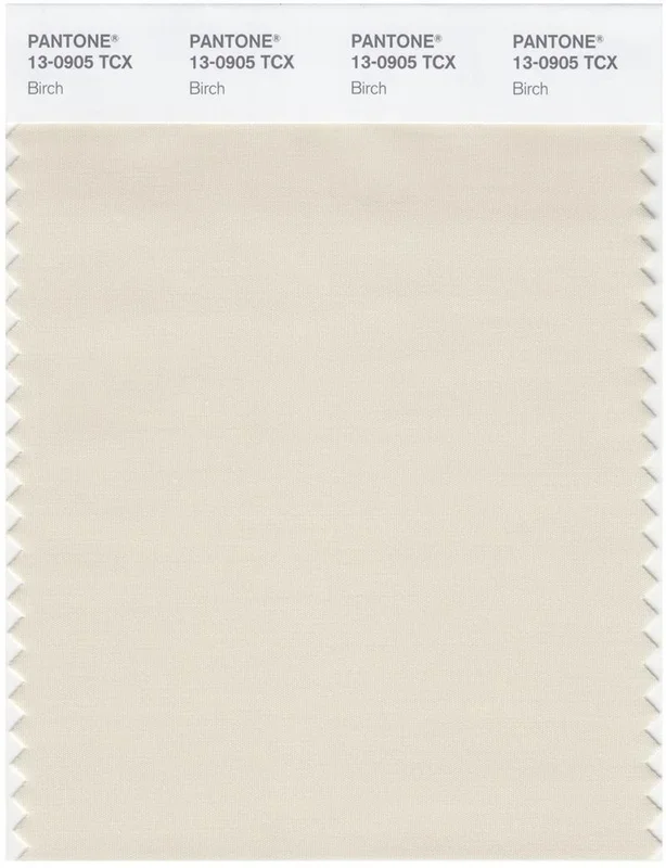 Pantone Smart 13-0905 TCX Color Swatch Card | Birch