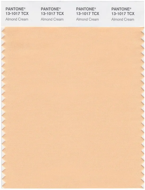 Pantone Smart 13-1017 TCX Color Swatch Card | Almond Cream