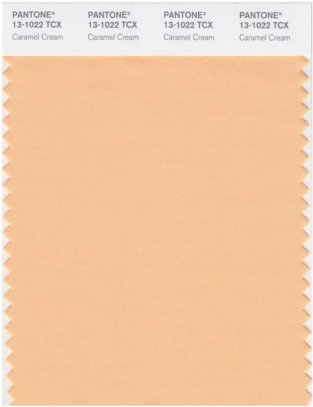 Pantone Smart 13-1022 TCX Color Swatch Card | Caramel Cream