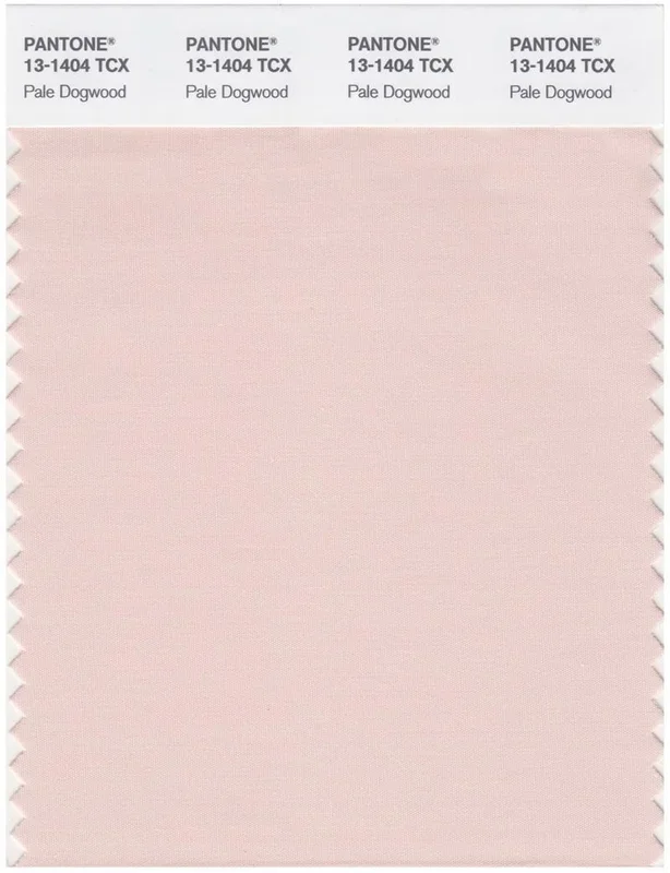 Pantone Smart 13-1404 TCX Color Swatch Card | Pale Dogwood