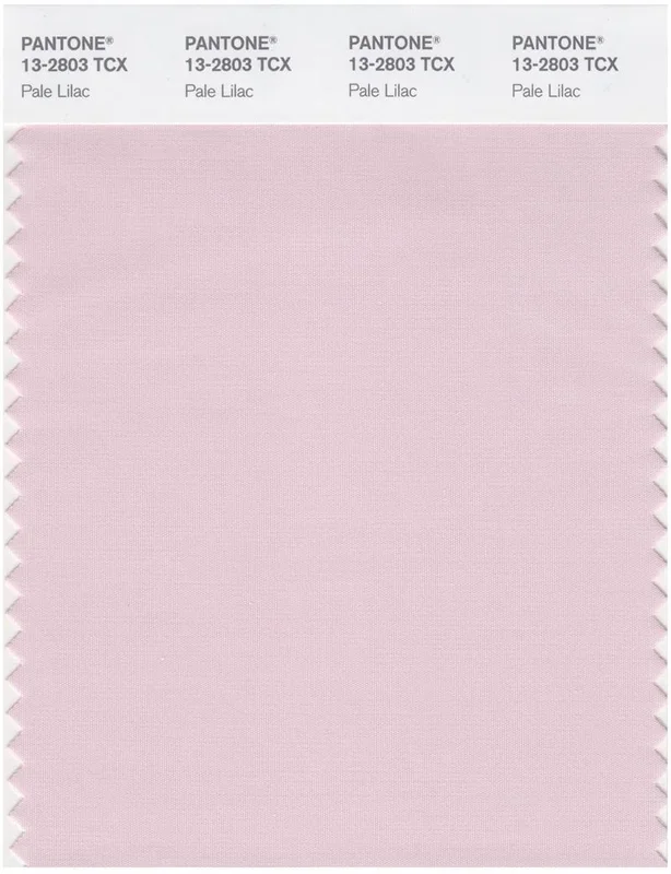Pantone Smart 13-2803 TCX Color Swatch Card | Pale Lilac