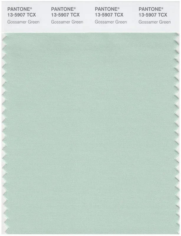 Pantone Smart 13-5907 TCX Color Swatch Card | Gossamer Green