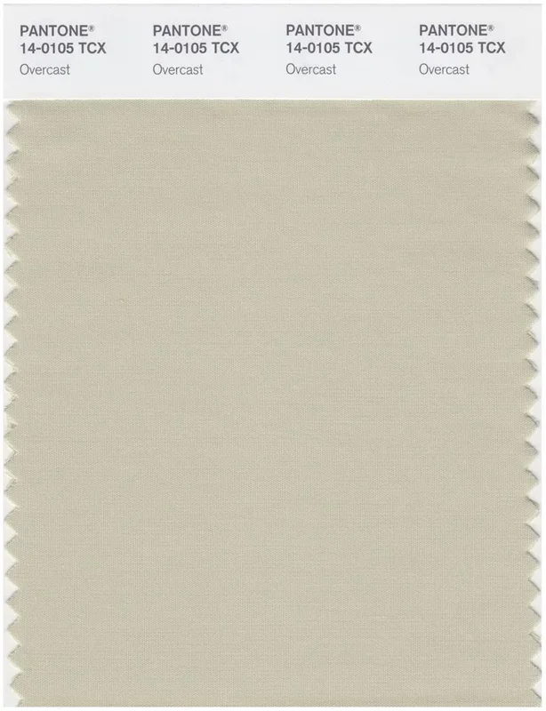 Pantone Smart 14-0108 TCX Color Swatch Card | Castle Wall
