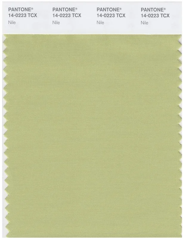 Pantone Smart 14-0223 TCX Color Swatch Card | Nile