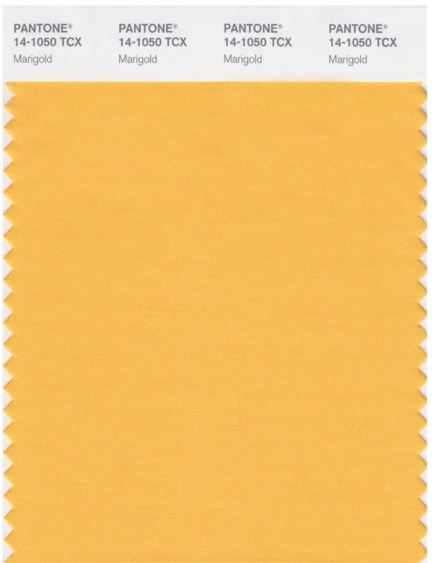 Pantone Smart 14-1050 TCX Color Swatch Card | Marigold