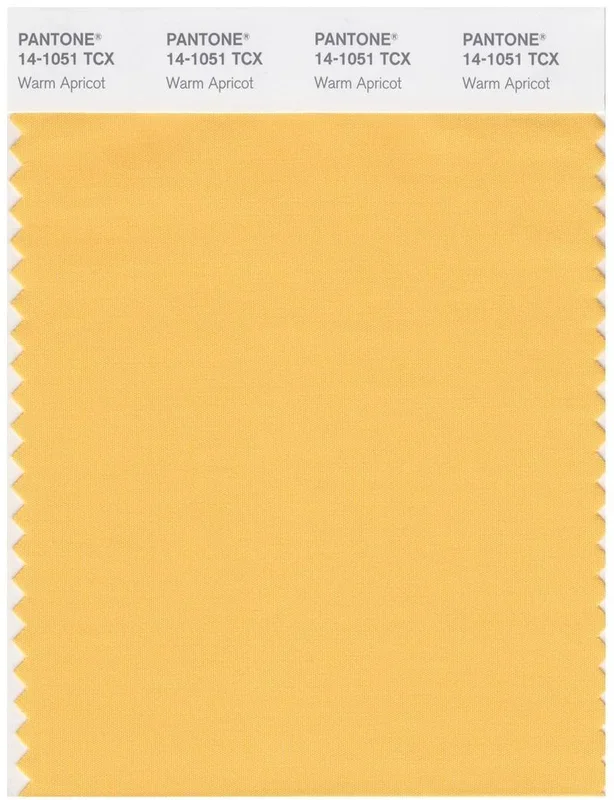 Pantone Smart 14-1051 TCX Color Swatch Card | Warm Apricot
