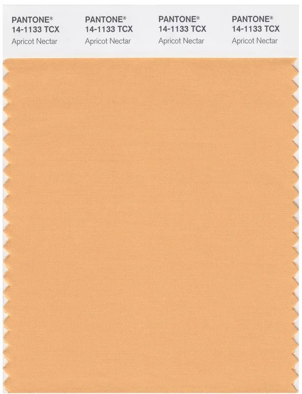 Pantone Smart 14-1133 TCX Color Swatch Card | Apricot Nectar