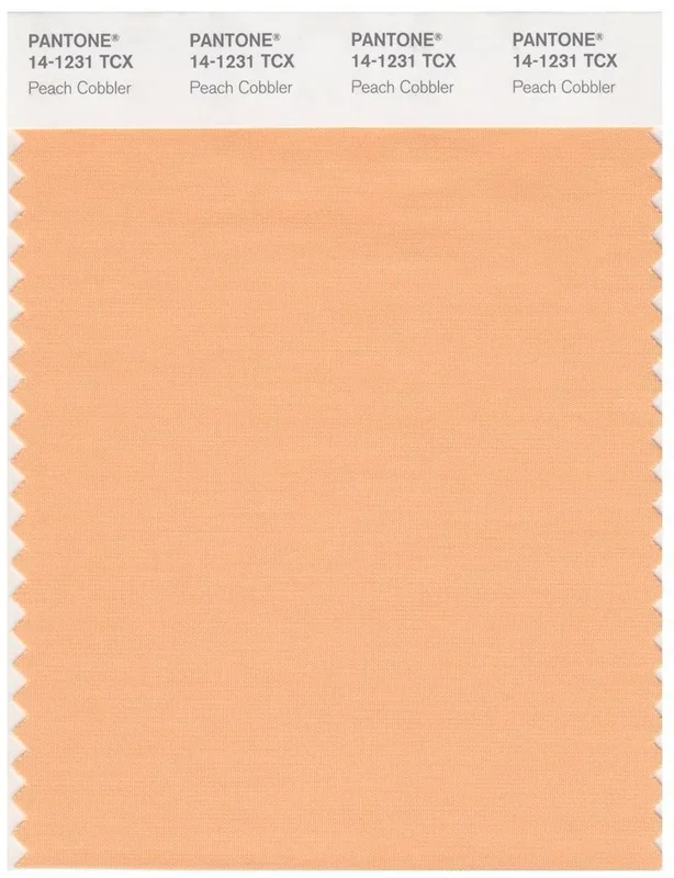 Pantone Smart 14-1231 TCX Color Swatch Card | Peach Cobbler