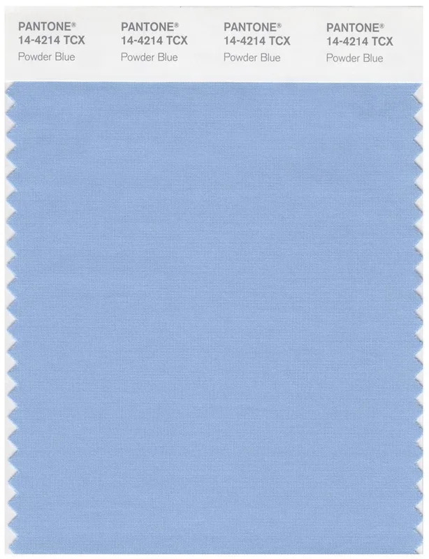 Pantone Smart 14-4214 TCX Color Swatch Card | Powder Blue