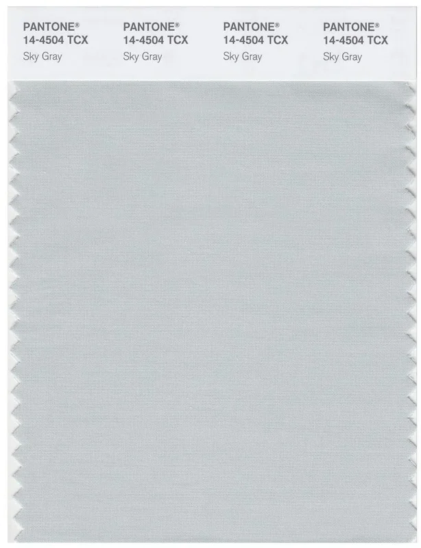 Pantone Smart 14-4504 TCX Color Swatch Card | Sky Gray