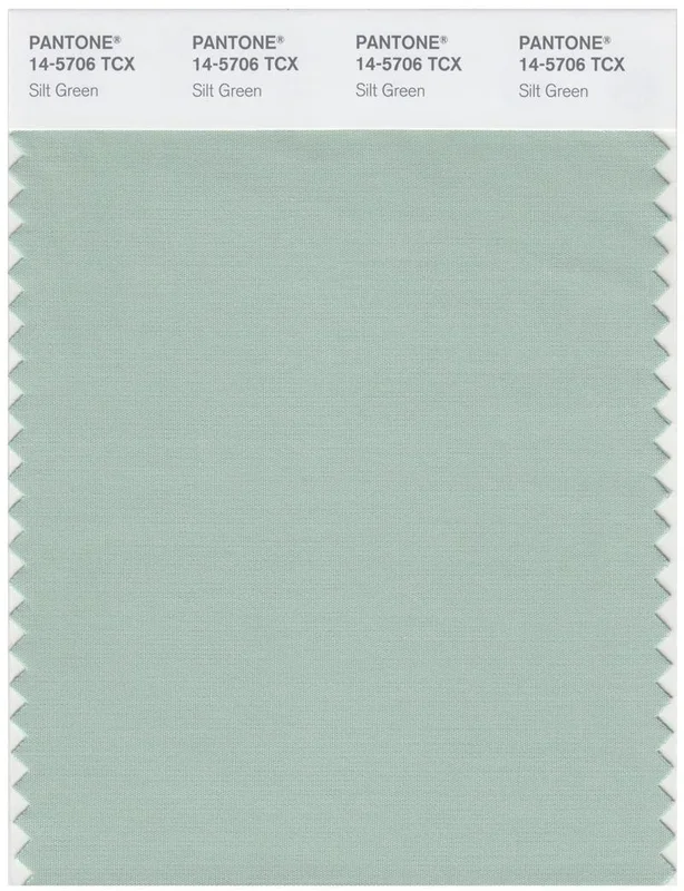 Pantone Smart 14-5706 TCX Color Swatch Card | Silt Green