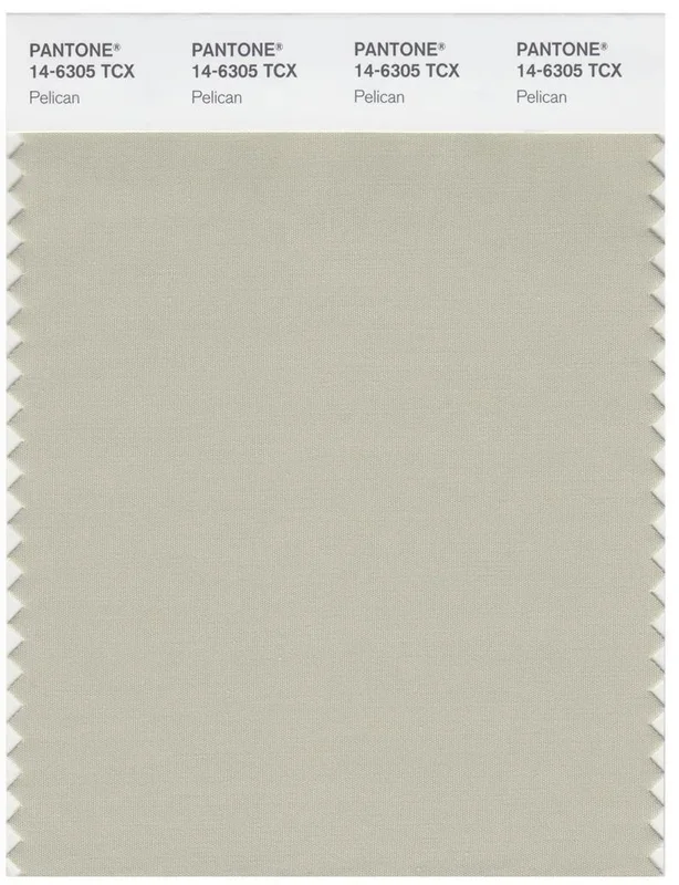 Pantone Smart 14-6305 TCX Color Swatch Card | Pelican