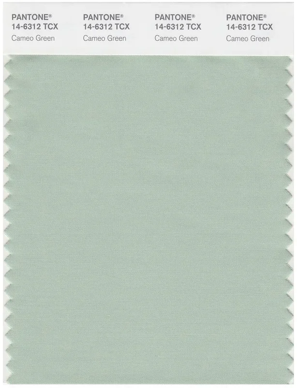 Pantone Smart 14-6312 TCX Color Swatch Card | Cameo Green