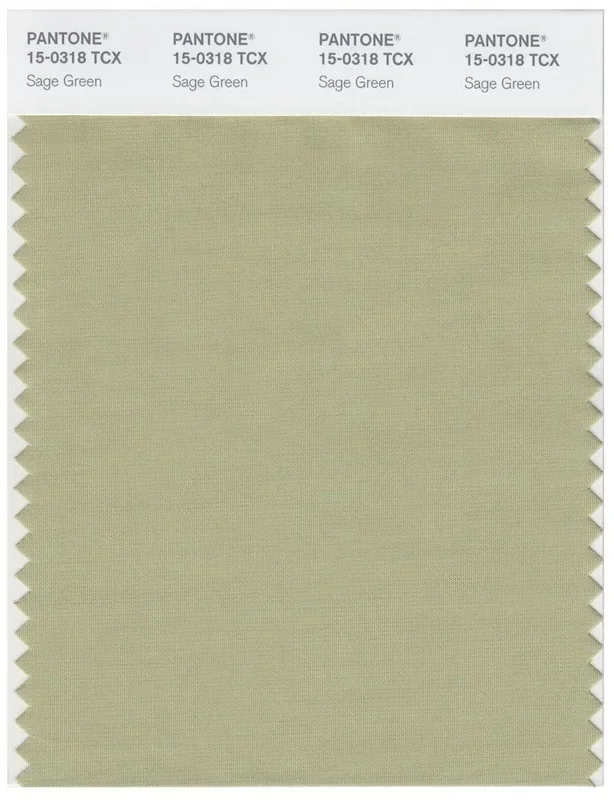 Pantone Smart 15-0318 TCX Color Swatch Card | Sage Green