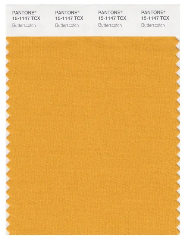 Pantone Smart 15-1147 TCX Color Swatch Card | Butterscotch