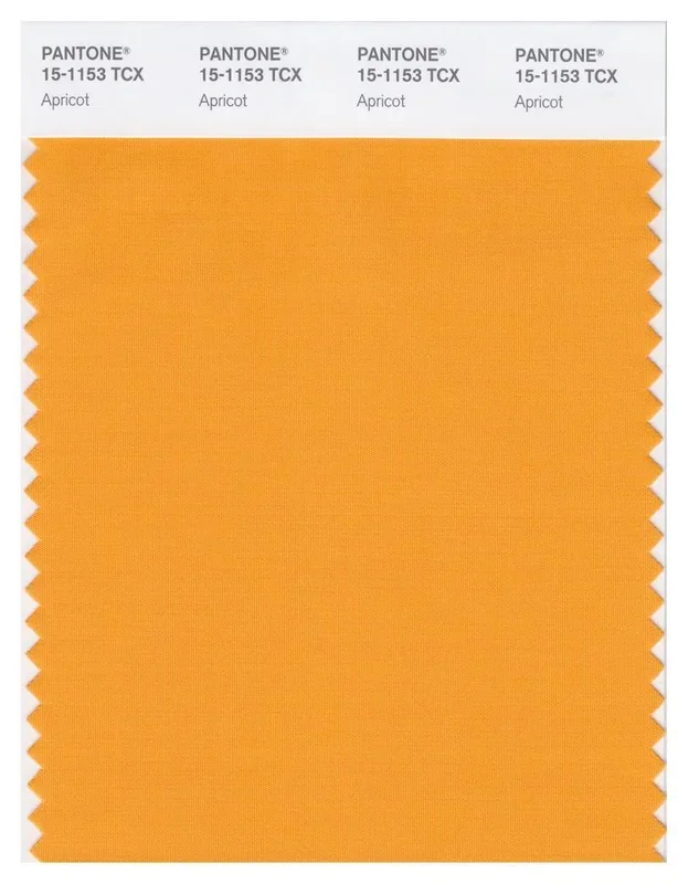 Pantone Smart 15-1153 TCX Color Swatch Card | Apricot