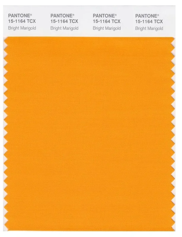 Pantone Smart 15-1164 TCX Color Swatch Card | Bright Marigold