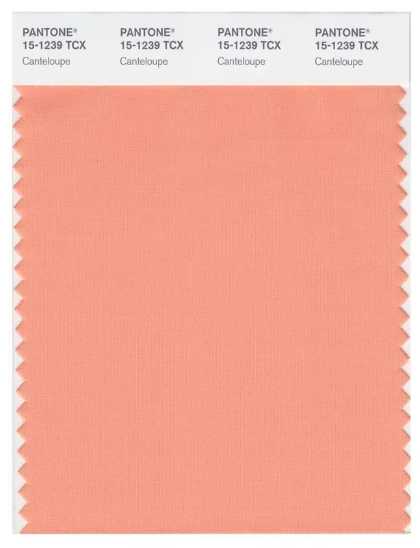 Pantone Smart 15-1239 TCX Color Swatch Card | Canteloupe