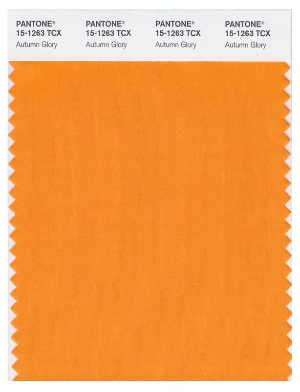 Pantone Smart 15-1263 TCX Color Swatch Card | Autumn Glory