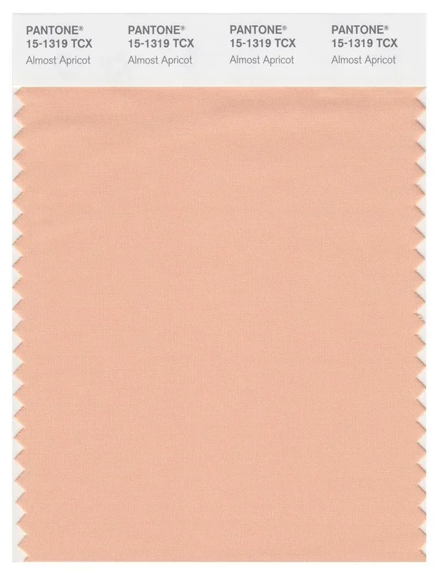 Pantone Smart 15-1319 TCX Color Swatch Card | Almost Apricot