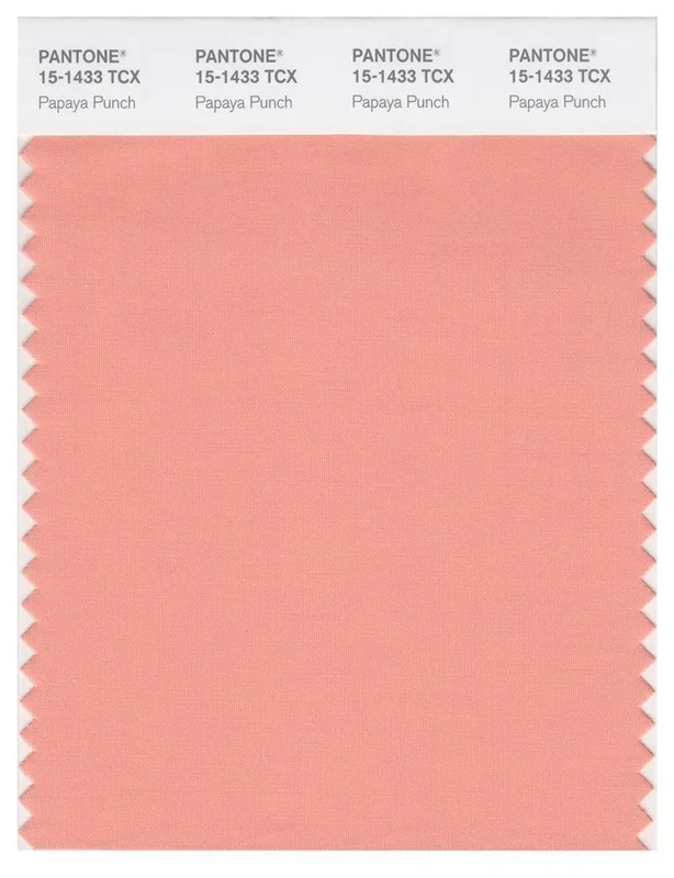 Pantone Smart 15-1433 TCX Color Swatch Card | Papaya Punch