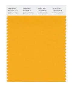 Pantone Smart 15-1504 TCX Color Swatch Card | Cadmium Yellow