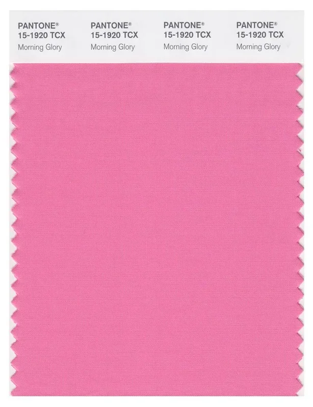 Pantone Smart 15-1920 TCX Color Swatch Card | Morning Glory
