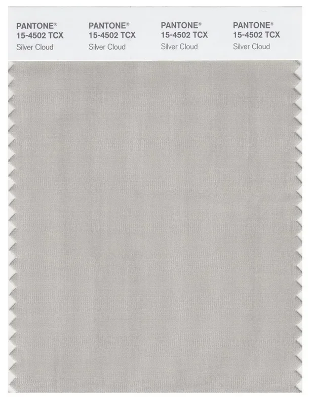 Pantone Smart 15-4502 TCX Color Swatch Card | Silver Cloud