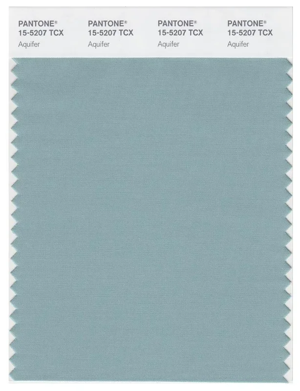 Pantone Smart 15-5207 TCX Color Swatch Card | Aquifer