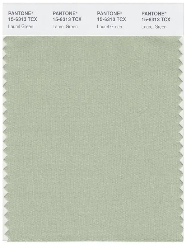 Pantone Smart 15-6313 TCX Color Swatch Card | Laurel Green