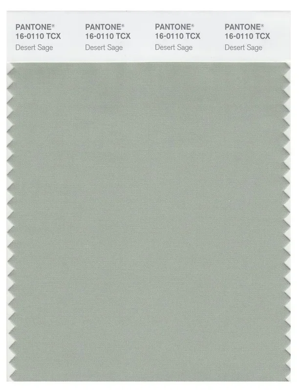 Pantone Smart 16-0110 TCX Color Swatch Card | Desert Sage